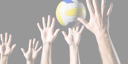 Vôlei